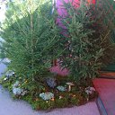 ���� �������, �����, 44 ���� - ��������� 15 ������ 2017 � ������ ���� ����������