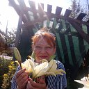 ���� ����, ������, 42 ���� - ��������� 2 ������� 2017 � ������ ���� ����������