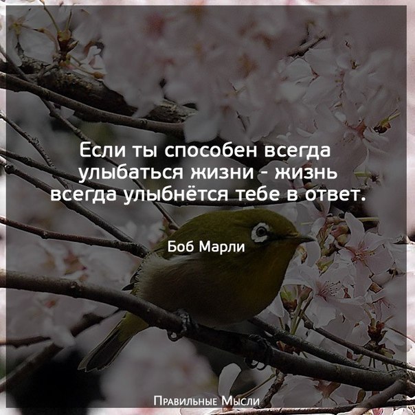    - 6  2017  08:56