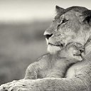���� ������, ������� - ��������� 17 ������� 2017 � ������ ���� ����������