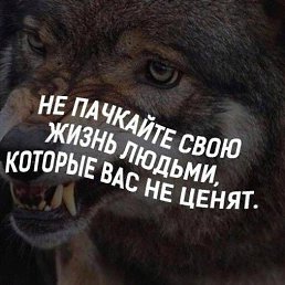 ���� �����, ������, 36 ��� - ��������� 3 ���� 2017