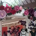 ���� �������, ������ - ��������� 4 ��� 2017 � ������ ���� ����������