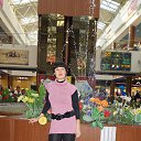  , --, 43  -  24  2017    