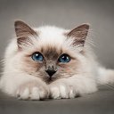 ���� M, �������� - ��������� 11 ���� 2017 � ������ ���� ����������