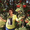 ���� ����, ��������, 54 ���� - ��������� 18 �������� 2017 � ������ ���� ����������