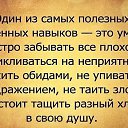  , , 55  -  31  2017    