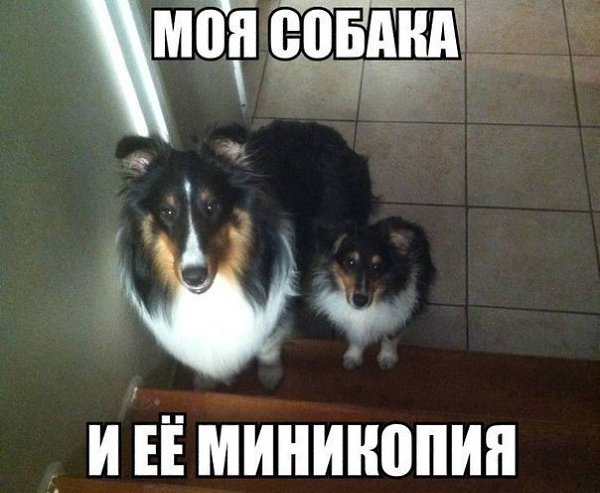 ���������� � - 31 ���� 2017 � 20:42