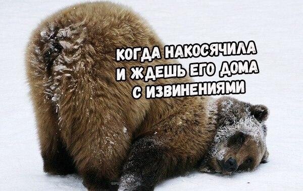    - 12  2017  10:33