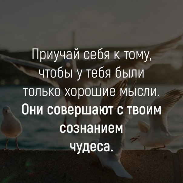    - 21  2017  11:51
