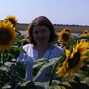 ���� �������, ������ - ��������� 24 ��� 2017 � ������ ���� ����������