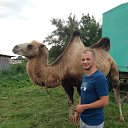 ���� �������, �����-���������, 46 ��� - ��������� 8 ������� 2017 � ������ ���� ����������