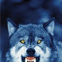 ���� Viktor, ����� - ��������� 2 ������ 2017 � ������ ���� ����������