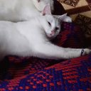���� Fatinyia, ����� - ��������� 30 �������� 2017 � ������ ����� ������� �������
