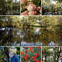 ���� ����, ����� - ��������� 17 �������� 2017 � ������ ���� ����������