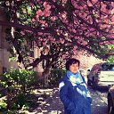 ���� �������, �������, 68 ��� - ��������� 22 ������ 2017 � ������ ���� ����������