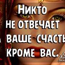 ���� ���������, ������ - ��������� 24 ������� 2017