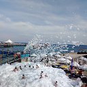 ������ ��������� �� ������� ������� 2017 �.�