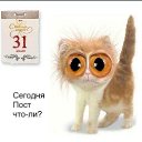 ���� �������, ���������, 64 ���� - ��������� 5 �������� 2017