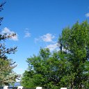 ���� �����, ������, 65 ��� - ��������� 24 ���� 2017 � ������ ���� ����������