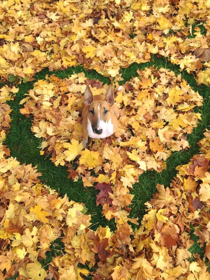 С последним днем лета, друзья! Завтра осень
