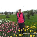 ���� �����, �����-������, 44 ���� - ��������� 28 ��� 2017 � ������ ���� ����������