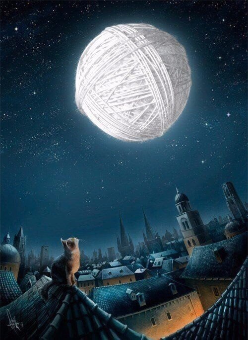 Kitten's Dream by Mirsad