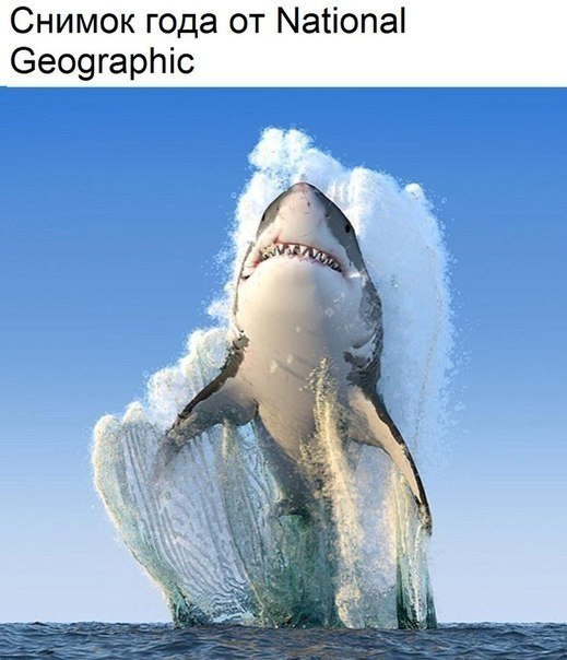   :    - 10  2017  23:37