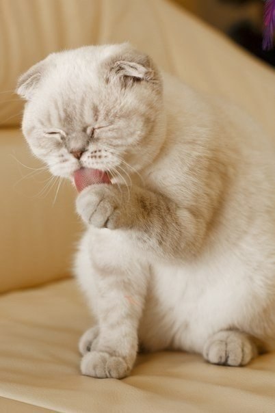       - 6  2017  16:58 - 5