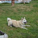 ���� �������, ��������� - ��������� 16 ������� 2017