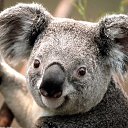 ���� ����, �����-���������, 54 ���� - ��������� 15 ������� 2017 � ������ ���� ����������