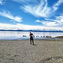 ���� ��������, �����������, 38 ��� - ��������� 14 ���� 2017 � ������ ���� ����������