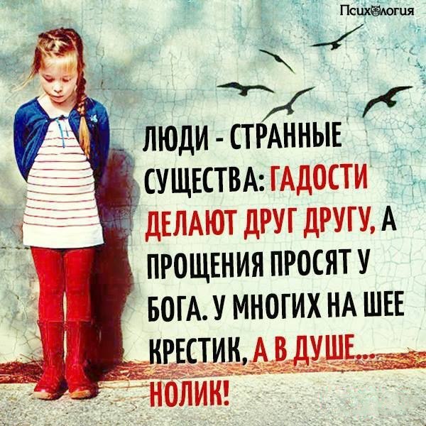  - 20  2017  12:35
