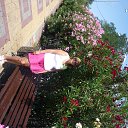 �� ��������� ��������� �� ������� ���� ����������