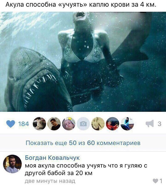    :D - 6  2017  12:09