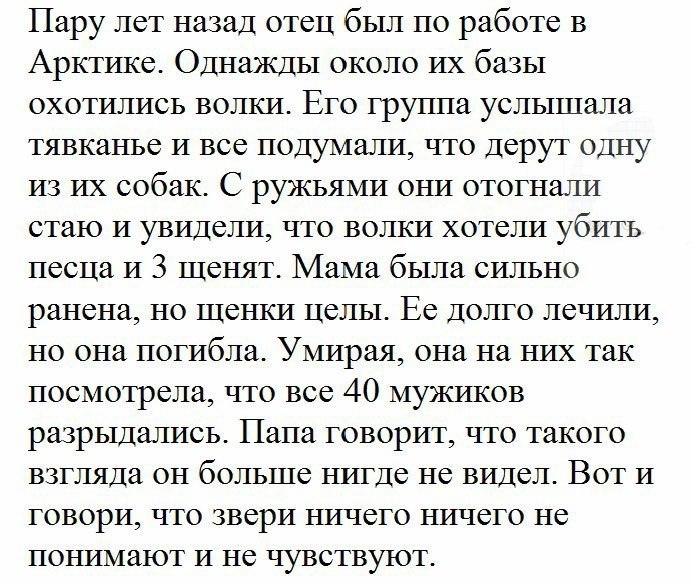  - 14  2017  03:17