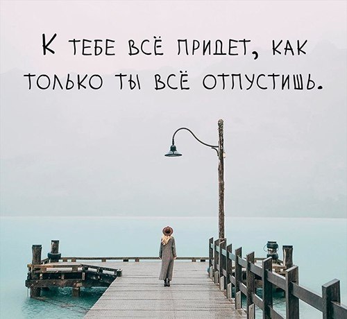   -  ,  -  - 16  2017  05:56