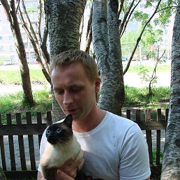 �������, ���������