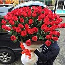 ���� �����, �����������, 72 ���� - ��������� 16 ���� 2017 � ������ ���������� ������