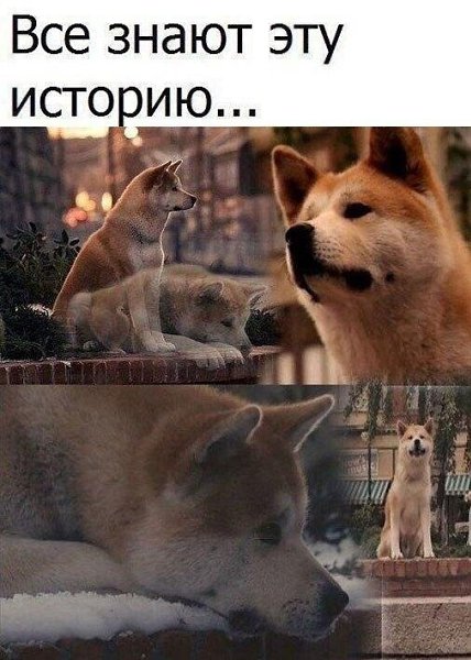   -  ,  -  - 11  2017  12:11