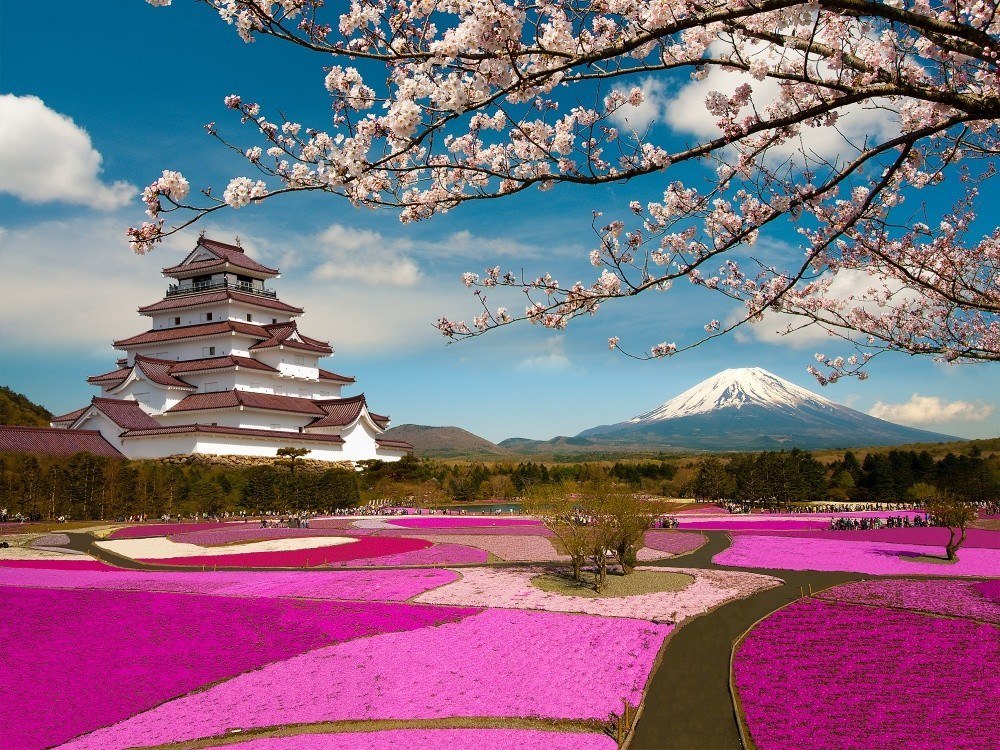         Hitsujiyama     . ...