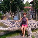 �������