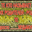 ���� �����, �������� - ��������� 26 ���� 2017 � ������ ���� ����������