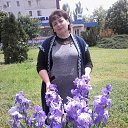 ���� Svetik, ������� - ��������� 19 ������� 2017 � ������ ���� ����������