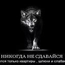 ���� �������� �������, ������ - ��������� 14 �������� 2017 � ������ ������ ��������