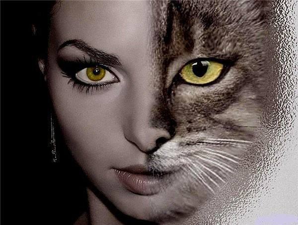 Р. Ах.судьба моя злодейка. Я сама себя боюсь. То пою как канарейка, То как пьяная дерусь. Если ...