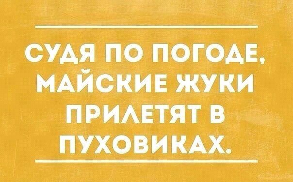  - 21  2017  12:51