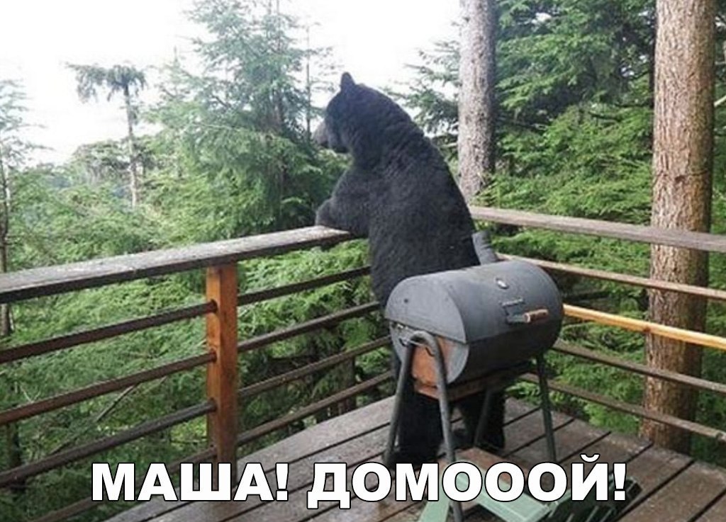    :D - 8  2017  02:35