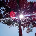 03.06.2017�. ��� ��������� - �������� ����� ���� ���������������� ���� ����� ���������� ��������� ���� ��� � ������ �����... �� ������� ���� ����������