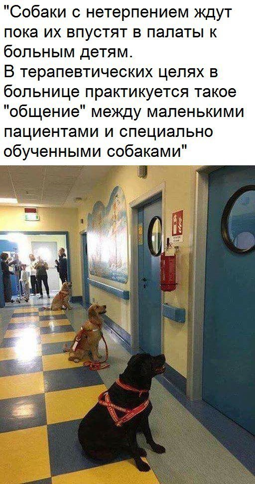   :    - 22  2017  17:50