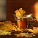  Klavdiy,   -  27  2017    